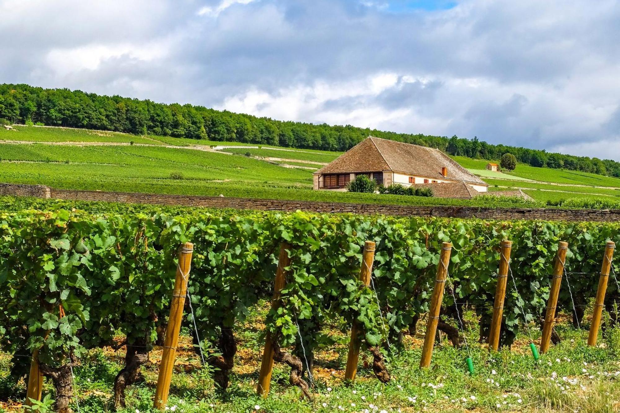Voco Beaune , Cite Des Vins By Ihg المظهر الخارجي الصورة